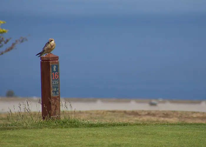 Palheiro Village Funchal (Madeira)