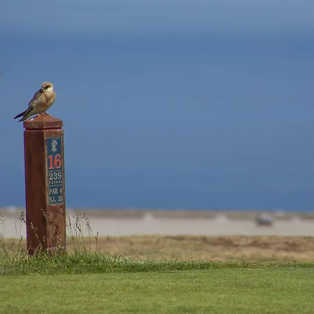 Palheiro Village フンシャル